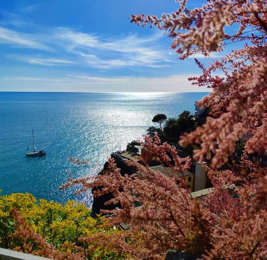 Maison Exotique - Riomaggiore / Cinque Terre / Beach Travel Exteriör bild